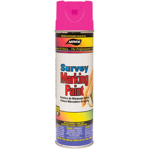 Solvent-Based Marking Paint, 17 oz., Aerosol Can Ottawa Fastener Supply