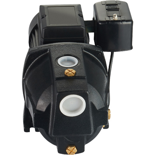 Pompe &agrave; jet en fonte &agrave; double tension pour puit peu profond, 115 V/230 V, 1100 gal./h, 1 CV Ottawa Fastener Supply