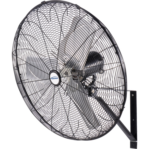 Waterproof Motor Misting & Oscillating Pedestal Fan, Industrial, 30" Dia., 3 Speeds Ottawa Fastener Supply