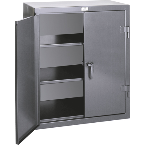 Armoires de rangement hauteur comptoir, Acier, 2 Tablettes, 36" h x 24" la x 20" P, Gris Ottawa Fastener Supply