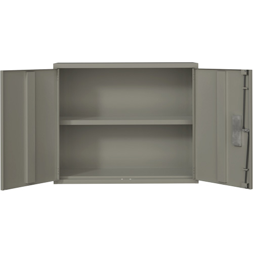 Wall Mounted Cabinet, Steel, 2 Shelves, 30" H x 36" W x 12" D, Grey Ottawa Fastener Supply
