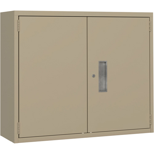 Wall Mounted Cabinet, Steel, 2 Shelves, 30" H x 36" W x 12" D, Beige Ottawa Fastener Supply