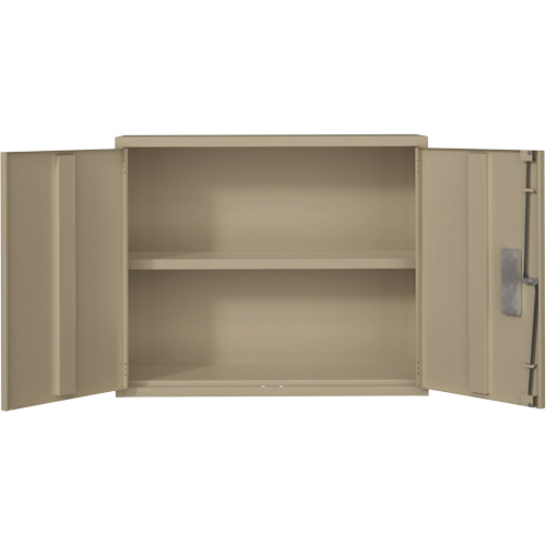 Wall Mounted Cabinet, Steel, 2 Shelves, 30" H x 36" W x 12" D, Beige Ottawa Fastener Supply