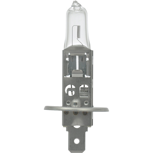 64155 Ampoule automobile de base, Halog&egrave;ne, 78 W, Blanc cass&eacute; Ottawa Fastener Supply