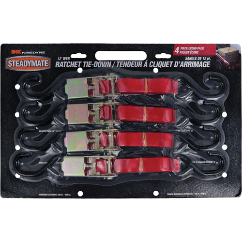 Tendeurs d'arrimage &agrave; cliquet, Crochet en S, 1" , 12' , Charge d'utilisation max. 500 lb (230 kg) Ottawa Fastener Supply