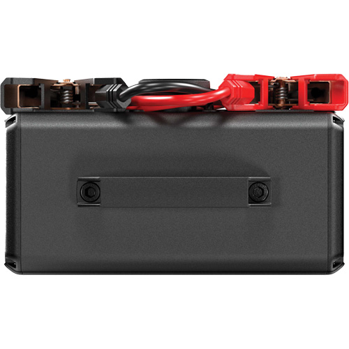 Survolteur V4000 HD 12 V/24 V 4000 A Ottawa Fastener Supply