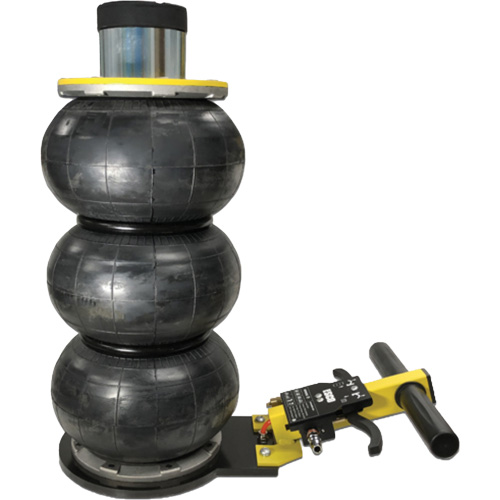 V&eacute;rin &agrave; coussin gonflable triphas&eacute; s&eacute;rie Pro, 2 tonne(s), 22" Hauteur &eacute;lev&eacute;e Ottawa Fastener Supply