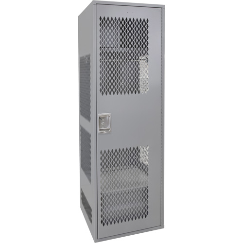 Gear Locker with Door, Steel, 24" W x 24" D x 72" H, Grey Ottawa Fastener Supply