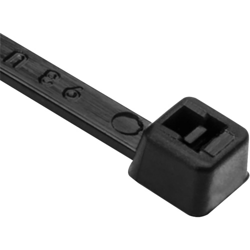 PA66 Cable Ties, 8" Long, 50 lbs. Tensile Strength, Black Ottawa Fastener Supply