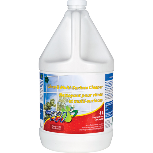 Glass & Multi-Surface Cleaners, 4 L, Jug Ottawa Fastener Supply