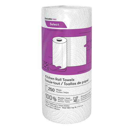 Pro Select Kitchen Towel Roll, 2 Ply, 250 Sheets/Roll, 8" W, 11" L Ottawa Fastener Supply