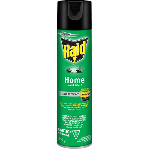 Insecticide pour insectes domestiques Raid, 350 g, &agrave; base de solvant Ottawa Fastener Supply