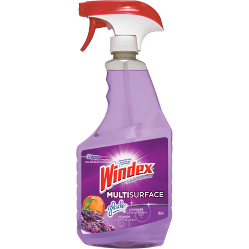 Windex&reg; Multi-Surface Cleaner, 765 ml, Trigger Bottle Ottawa Fastener Supply