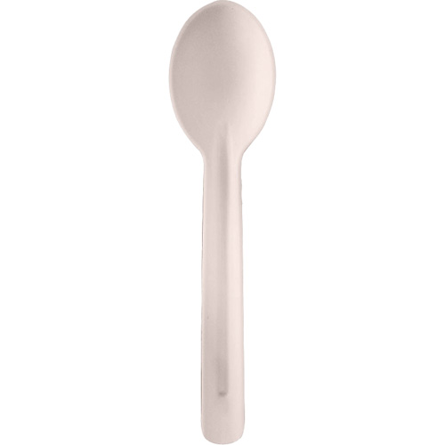 Bagasse Compostable Spoons Ottawa Fastener Supply