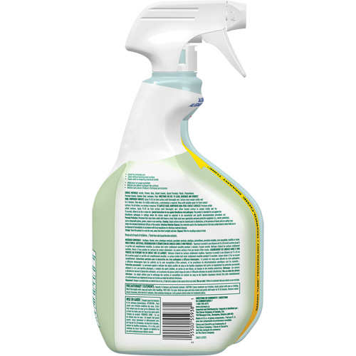 Nettoyant d&eacute;sinfectant CloroxPro Clorox EcoClean, 946 ml, Bouteille &agrave; g&acirc;chette Ottawa Fastener Supply