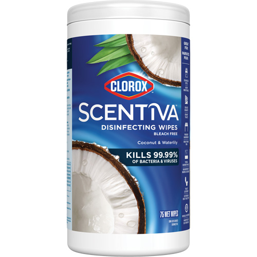 Lingettes d&eacute;sinfectantes, 75 lingettes Ottawa Fastener Supply