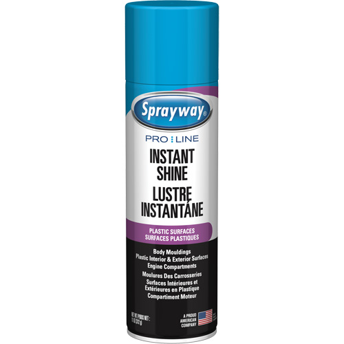 Pro Line Instant Shine for Plastic Surfaces, 11 oz., Aerosol Can Ottawa Fastener Supply