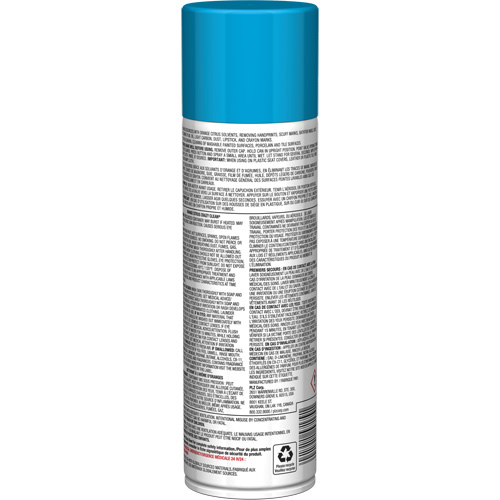 Nettoyant tout usage Pro Line Crazy Clean, 19 oz., Canette a&eacute;rosol Ottawa Fastener Supply