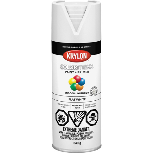 Appr&ecirc;t + peinture COLORmaxx, Blanc, Tr&egrave;s mat, 12 oz, Canette a&eacute;rosol Ottawa Fastener Supply