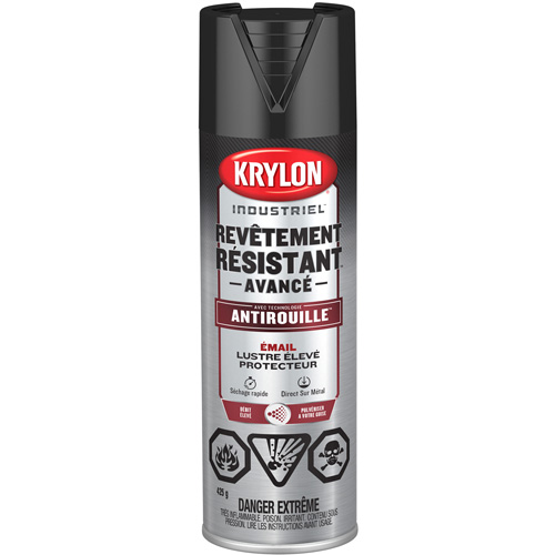 Tough Coat&reg; Advanced Paint with Rust Barrier Technology, Black, High-Gloss, 425 g, Aerosol Can Ottawa Fastener Supply