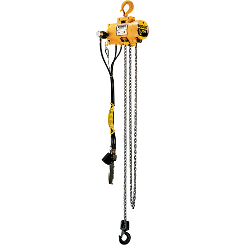 Budgit&reg; Air Chain Hoists Ottawa Fastener Supply