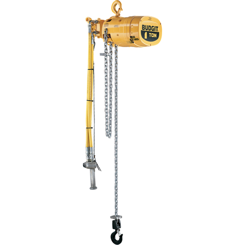 Budgit&reg; Series 6000 Air Hoists Ottawa Fastener Supply