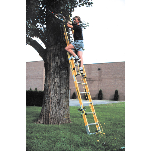 Industrial Heavy-Duty Extension Ladders (6200 Series), 375 lbs. Cap., 13' H, Grade 1AA Ottawa Fastener Supply
