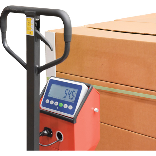 Pallet Truck, 48" L x 27.5" W, 5000 lbs. Cap. Ottawa Fastener Supply