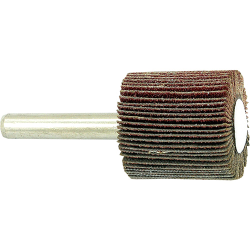 Disque &agrave; lamelles mont&eacute; sur mandrin, Grain 80, 1" x 1" x 1/4" Ottawa Fastener Supply