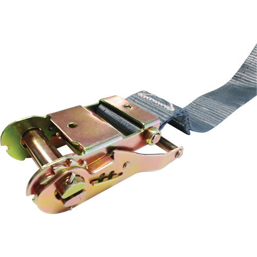 Tendeur d'arrimage &agrave; cliquet, Syst&egrave;me E-Track, 2" , 16' , Charge d'utilisation max. 1333 lb (605 kg) Ottawa Fastener Supply