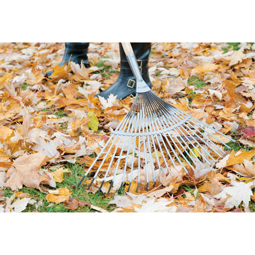 Pro Fan Rake, 24" Blade, 22 Tines, Hardwood Handle, Steel Blade Ottawa Fastener Supply
