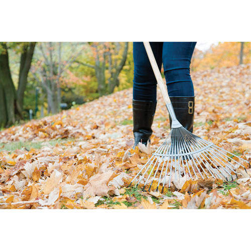Pro Fan Rake, 24" Blade, 22 Tines, Hardwood Handle, Steel Blade Ottawa Fastener Supply