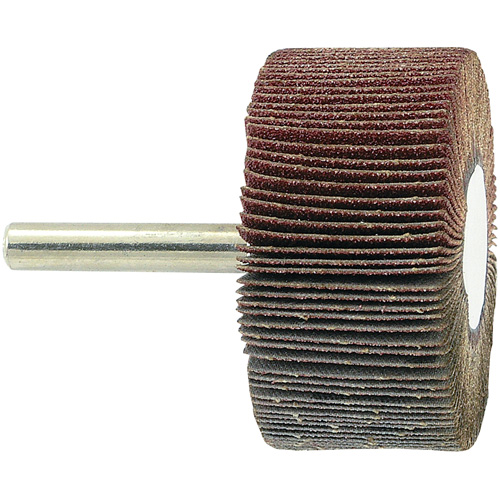 Disque &agrave; lamelles mont&eacute; sur mandrin, Grain 80, 2" x 1" x 1/4" Ottawa Fastener Supply