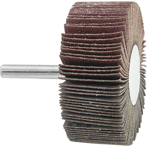 Disque &agrave; lamelles mont&eacute;, Grain 120, 2-1/2" x 1" x 1/4" Ottawa Fastener Supply
