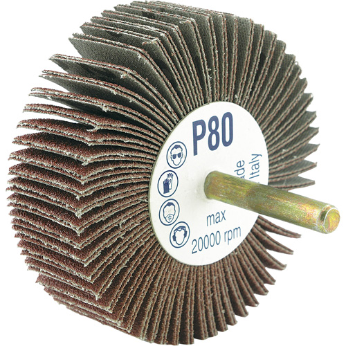 Disque &agrave; lamelles mont&eacute; sur mandrin, Grain 80, 3" x 1/4" Ottawa Fastener Supply