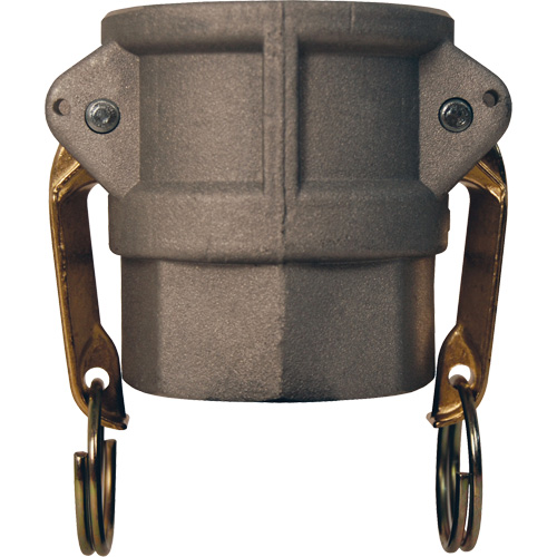 Global Cam & Groove Coupler, Aluminum, Type D, 2", Female NPT, 250 PSI Ottawa Fastener Supply