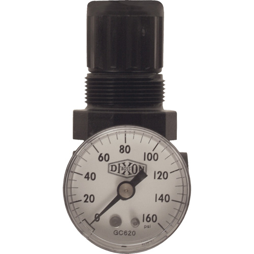 R&eacute;gulateur miniature de s&eacute;rie 1, 1/8" NPT, PSI max. de 100 psi, Standard Ottawa Fastener Supply