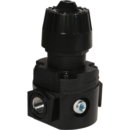 Wilkerson Compact Regulator R16, 1/4" NPT, 300 psi Max. PSI, Standard Ottawa Fastener Supply