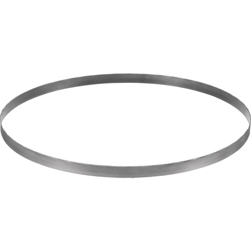 Cordless Band Saw Blade, Bi-Metal, 32-7/8" L x 0.02" Thick, 14-18 TPI Ottawa Fastener Supply