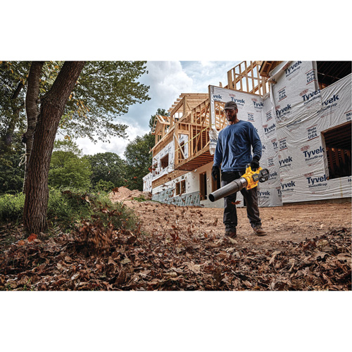 Ventilateur axial &agrave; main sans fil sans balai Max* FlexVolt, 60 V, Vitesse d'air 125 mi/h, &agrave; pile Ottawa Fastener Supply