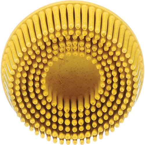 Scotch-Brite Roloc Bristle Disc, Ceramic, Medium Grit, 2" Dia. Ottawa Fastener Supply