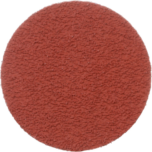 Cubitron II Roloc Durable Edge Disc, 2" Dia., 60+ Grit, Ceramic Ottawa Fastener Supply