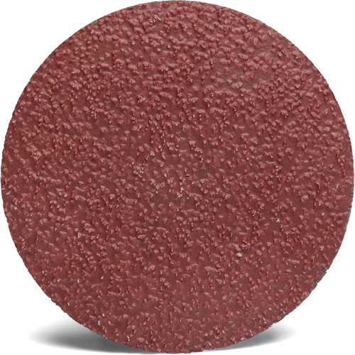Disque abrasif Roloc 782C 3M, 2" dia., Grain 36+, C&eacute;ramique Ottawa Fastener Supply
