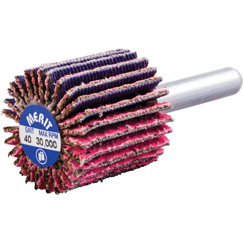 Mini-meule &agrave; lamelles mont&eacute;e sur tige, C&eacute;ramique d'alumine, Grain 40, 1" x 1" x 1/4" Ottawa Fastener Supply