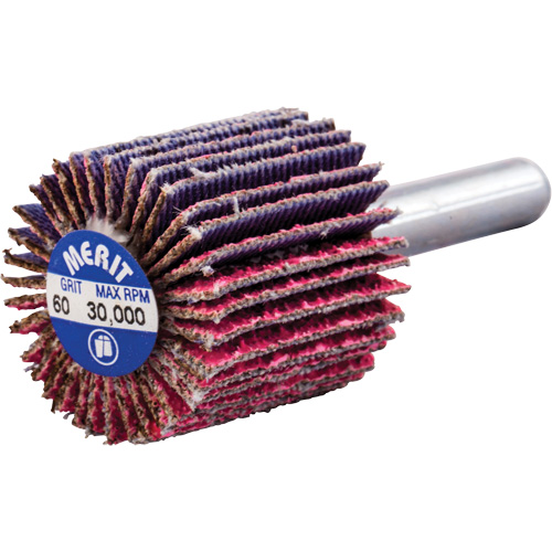 Mini-meule &agrave; lamelles mont&eacute;e sur tige, C&eacute;ramique d'alumine, Grain 60, 1" x 1" x 1/4" Ottawa Fastener Supply