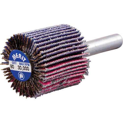 Mini-meule &agrave; lamelles mont&eacute;e sur tige, C&eacute;ramique d'alumine, Grain 80, 1" x 1" x 1/4" Ottawa Fastener Supply