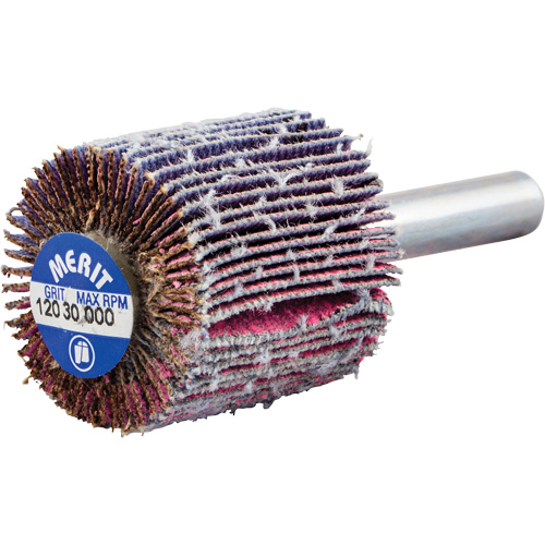 Mini-meule &agrave; lamelles mont&eacute;e sur tige, C&eacute;ramique d'alumine, Grain 120, 1" x 1" x 1/4" Ottawa Fastener Supply