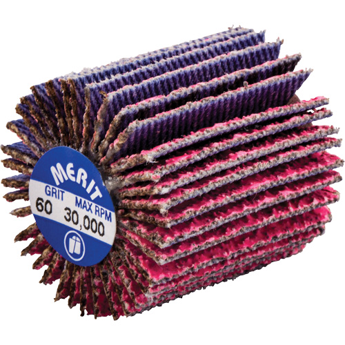 Threaded Mini Flap Wheel, Ceramic Alumina, 60 Grit, 1" x 1" x 1/4"-20 Ottawa Fastener Supply