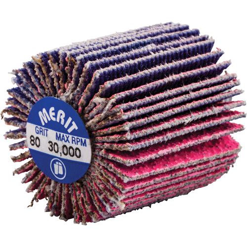 Threaded Mini Flap Wheel, Ceramic Alumina, 80 Grit, 1" x 1" x 1/4"-20 Ottawa Fastener Supply