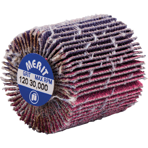 Mini-meule &agrave; lamelles filet&eacute;es, C&eacute;ramique d'alumine, Grain 120, 1" x 1" x 1/4"-20 Ottawa Fastener Supply